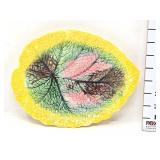 Begonia  Majolica Leaf Plate