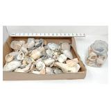 Seashells
