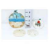 Sand Dollars - (2) Painted