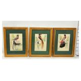 (3) Mexican Feathercraft Framed Bird Art Cards