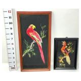 (2) Framed Feathercraft Bird Wall Art - Mexico
