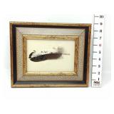 Framed Goose Painted Feather