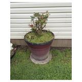 Large flower pot