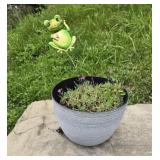 Flower pot with frog