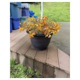Pretty pot of yellow and orange flowers, 11x16