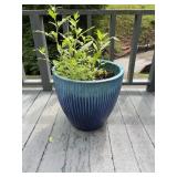 Large flower pot, 18 inches tall, 19 inches wide