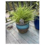 Flower pot, 14 inches tall and 15 inches wide