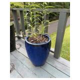 Flower pot, 19 inches tall