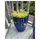 Beautiful large blue flower pot, approximately 19