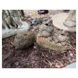 Welcome frogs and a rock
