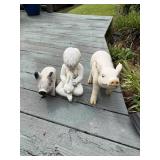 cute little pigs and a boy with rabbit