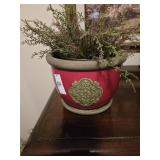 Pot with plant