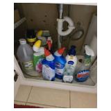 Contents of 4 drawers a d underneath vanity