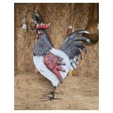 Black, white and red rooster