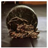 Coaster holders