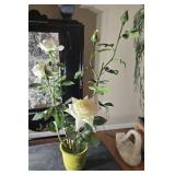 Decorative roses