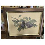 Prunes Domestica by KG Lobseculp. 20 X 16 inches.