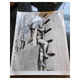 Vintage Autographed Robin print approx 8 x 10