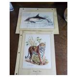 Tiger & Dolphin Pair of prints appr 9x 8 x 10