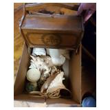 Variety of seashells and cute storage box