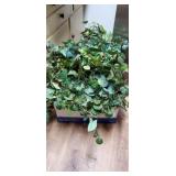 Large grouping of greenery