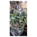 Big basket of greenery