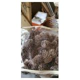 Bag of pine cones