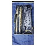 Flute in case