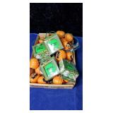 Halloween  lights and zombie alert