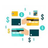 * Payment Information *