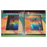 2 ROOKIE OF THE YEAR 1991 - SPECIAL COLLECTOR