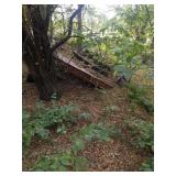 3 IRON PILES WITH TREE OVERGROWTH, BEHIND THE