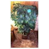 FAKE FIG TREE- LOOKS REAL Over 4 FT
