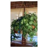 2?HANGING PLANTS AND EXTRA MACRAME HOLDER