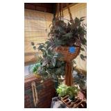 2 MACRAME PLANTS HOLDERS WITH PLANTS