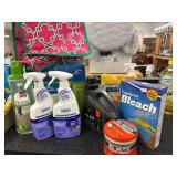 Cleaning Supplies Assortment