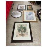 Framed Botanical Prints Lot