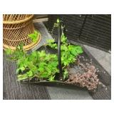 Black Metal Ash Shovel