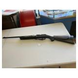 Crosman Pump Air Rifle