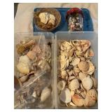 2 totes w/seashells