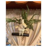 2 hanging parrots 11' x 10ï¿½ largest