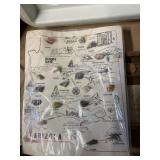 Arizona rock type chart  8 1/2' x 11'
