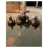 5 duck decoys plastic & rubber