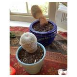 2 Cactus plants, rainbow pincushion & thumb,