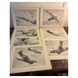 7 WWII Aircraft prints, Ted Gross-artist, W P