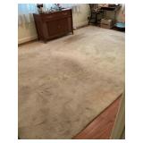Beige area rug 9ï¿½ x 12,(no shipping)