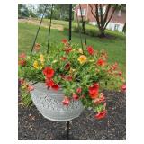 Hanging planter w/ plant (NO shipping)