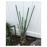 2 Bases for Fake Palm frowns 40"