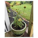 Ceramic flower pot W/ coneflower 11 1/2