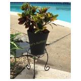 Potted croton plant - 14" plastic pot w/ metal